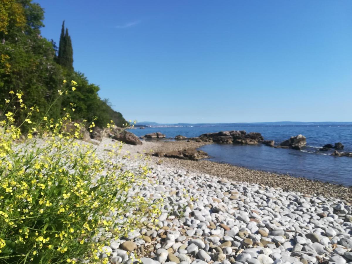 Holiday home Ruje