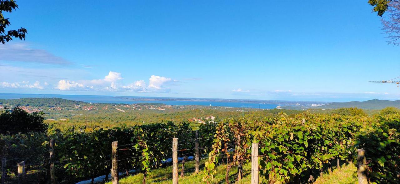 Holiday home Ruje Prepotto (Giuliana)