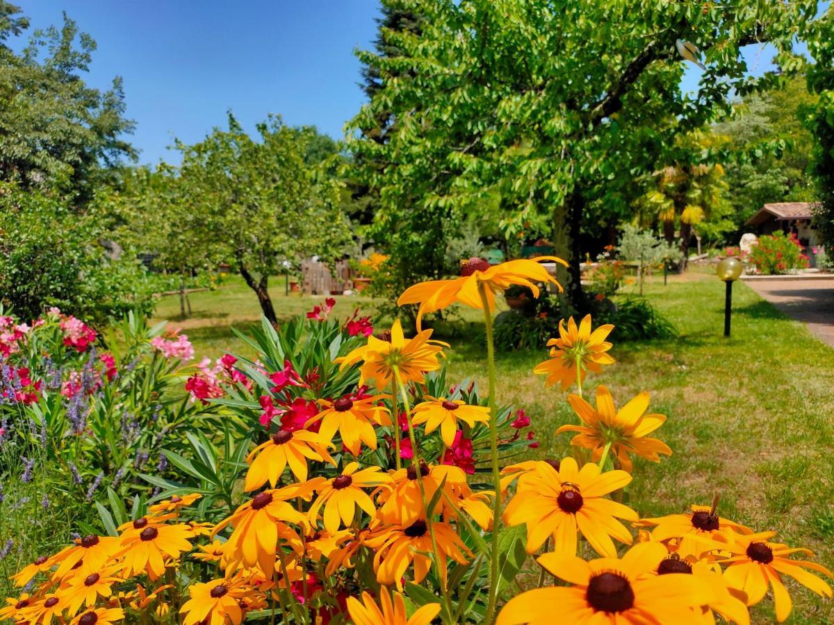 Holiday home Ruje Prepotto (Giuliana)