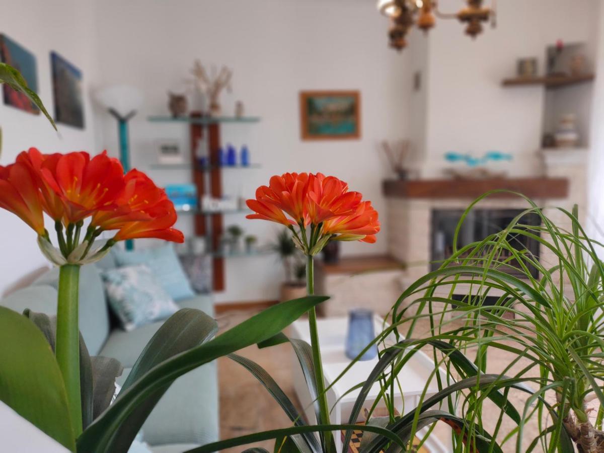 Holiday home Ruje Prepotto (Giuliana)